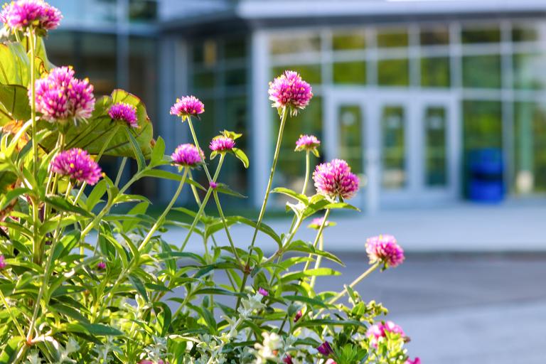Flowers in front of the Robinson Student Career Center