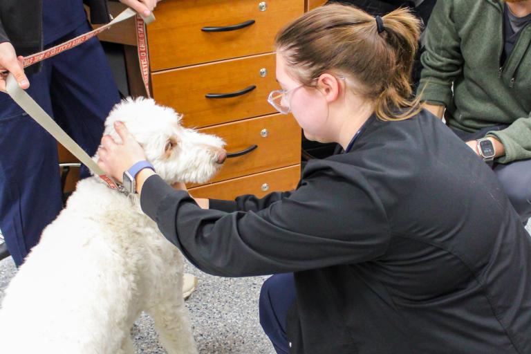 Veterinary Technology