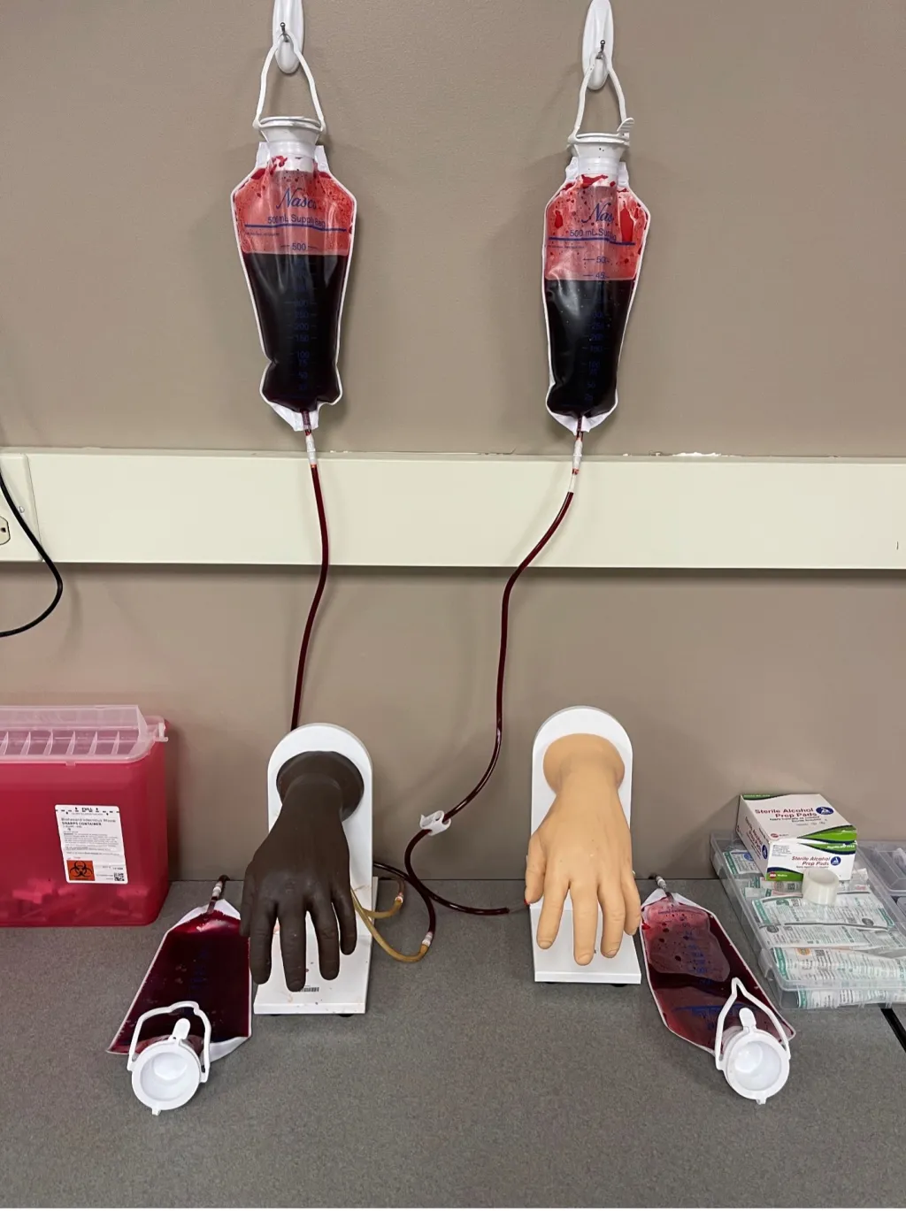 Medical training station with two simulated arms connected by tubing to blood-filled collection bags, used to demonstrate blood donation and transfusion techniques