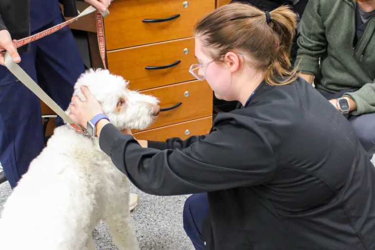 Veterinary Technology