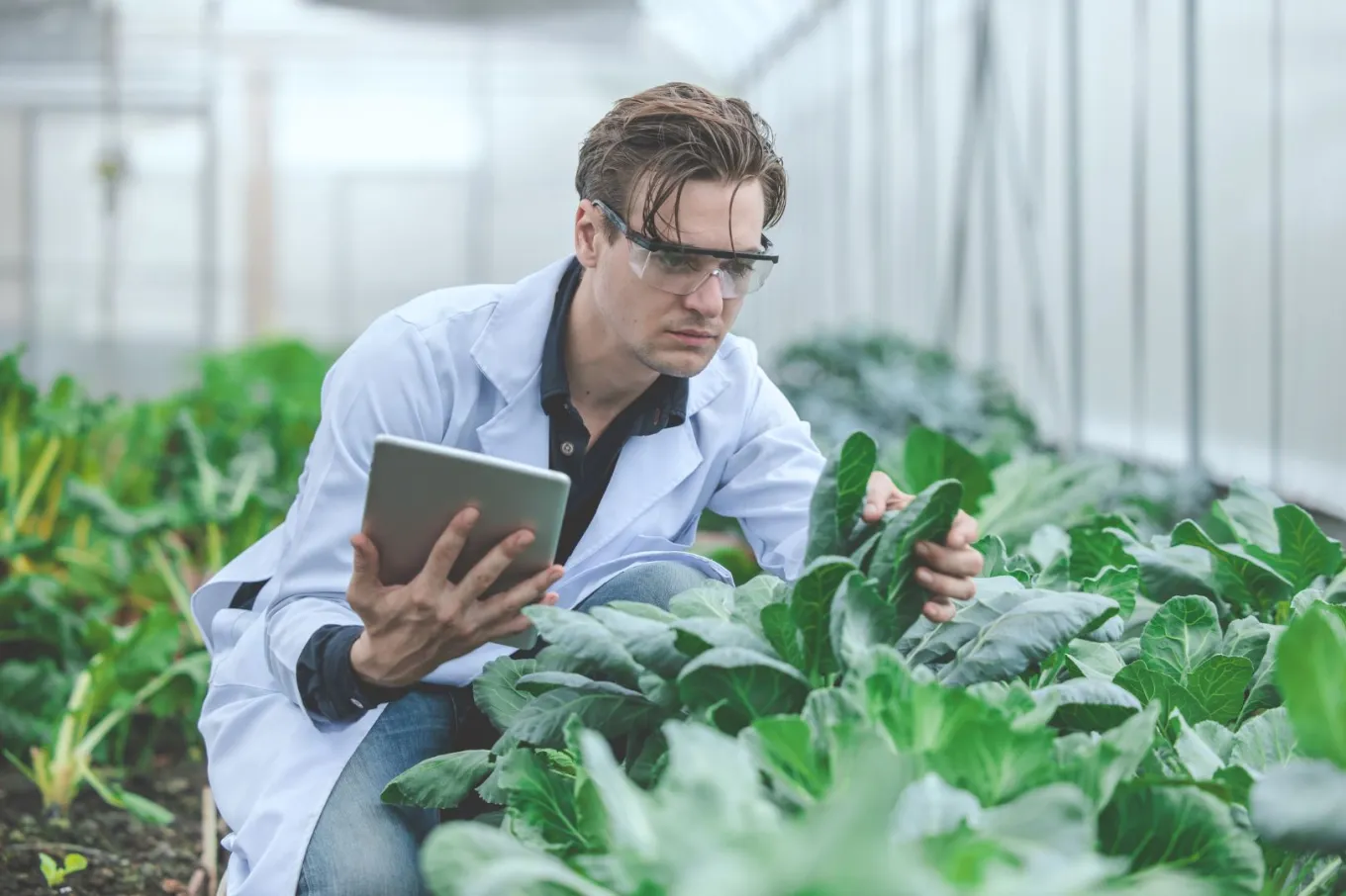 Return on Investment for Agriculture Education