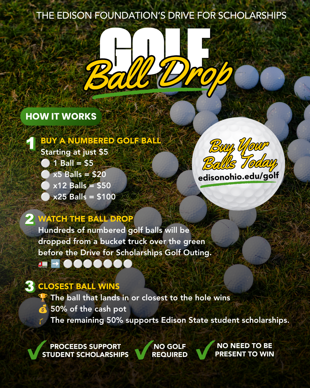 Golf Ball Drop Flyer